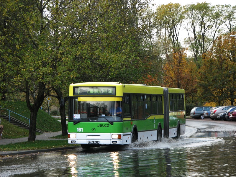 Jelcz M181M #161