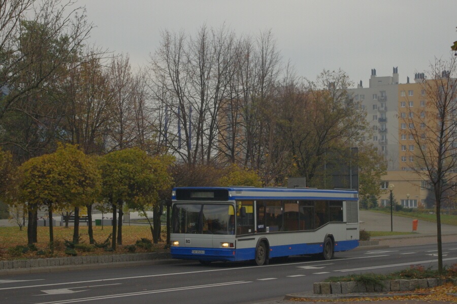 MAZ 103.065 #80