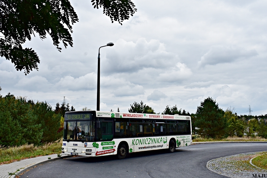 MAN NL283 #524