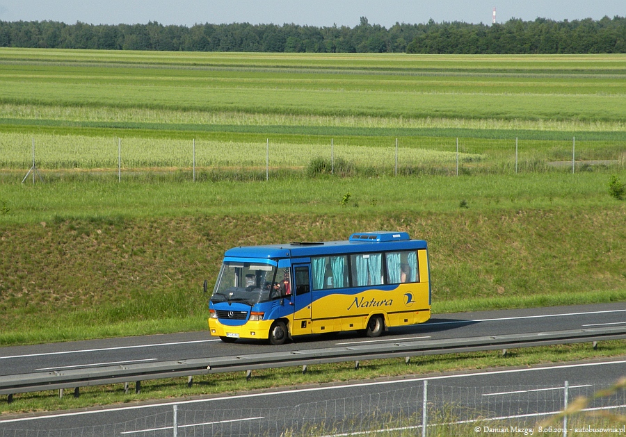 Jelcz T081MB #FG 6244C