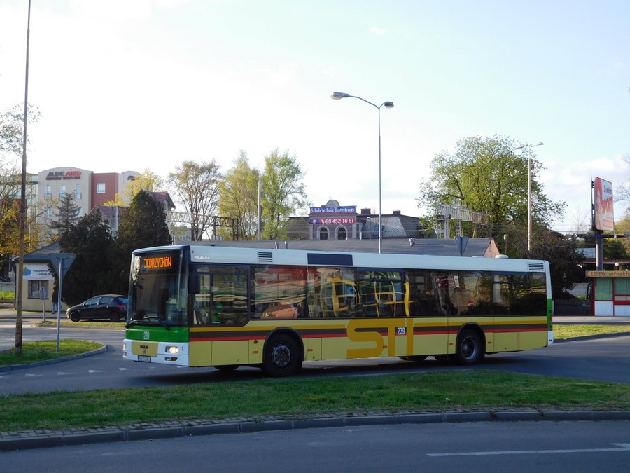 MAN NL313 #239
