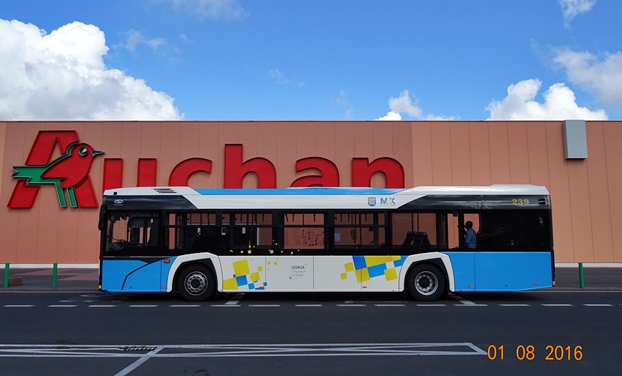 Solaris Urbino 12 #239