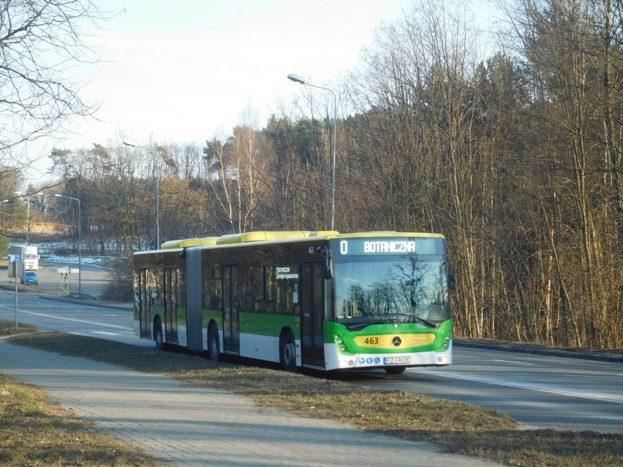 Mercedes-Benz Conecto LF G #463
