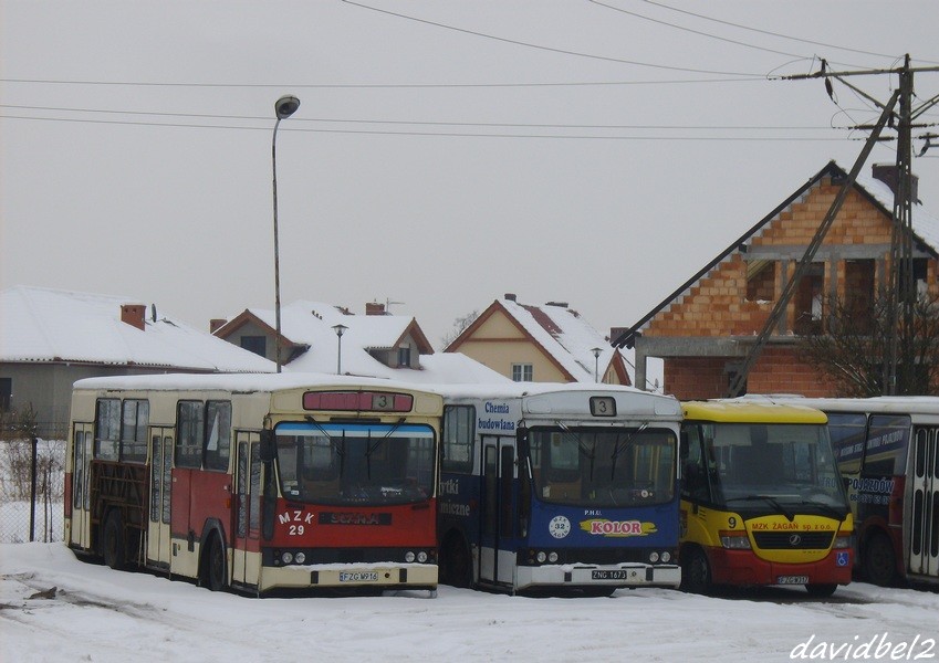 Jelcz M11 #29
