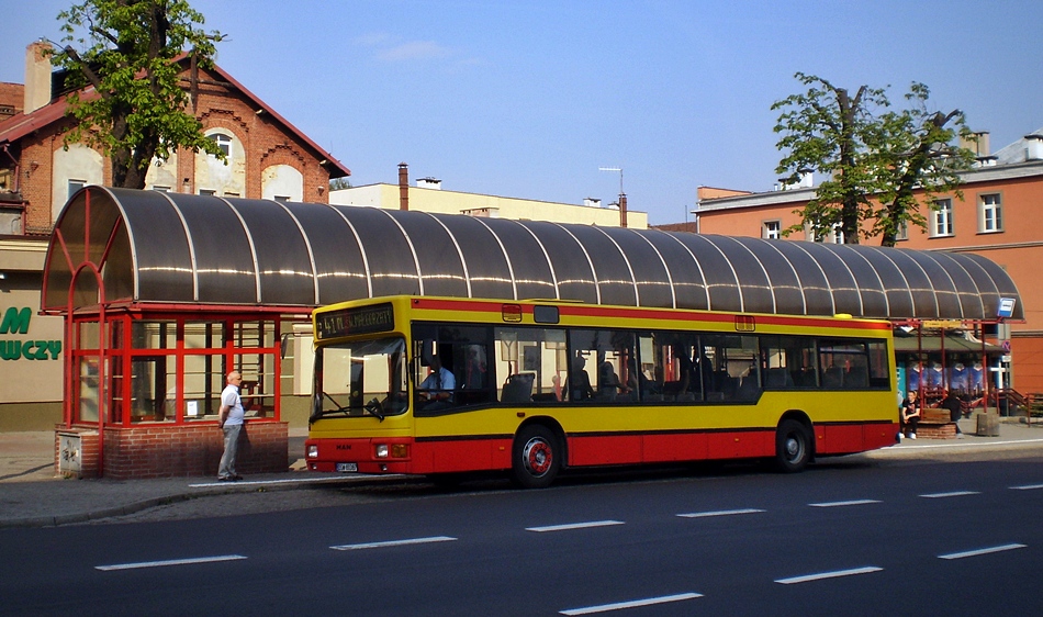 MAN NL202 #31