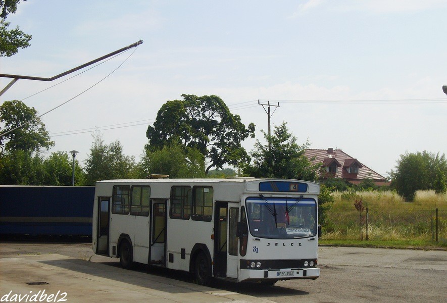 Jelcz M11 #31