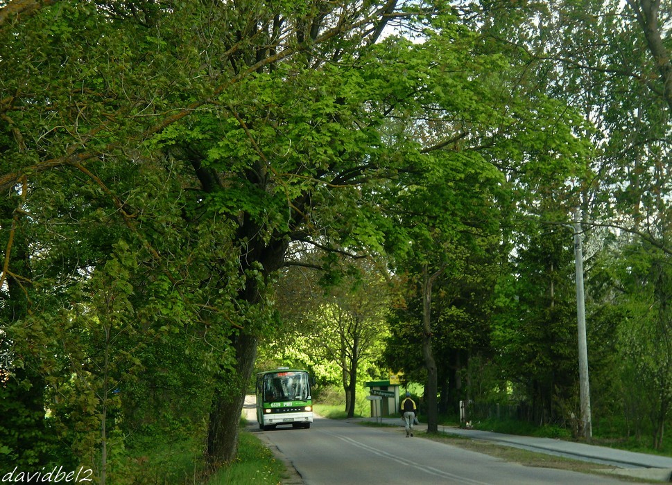 Setra S215 �L #6529