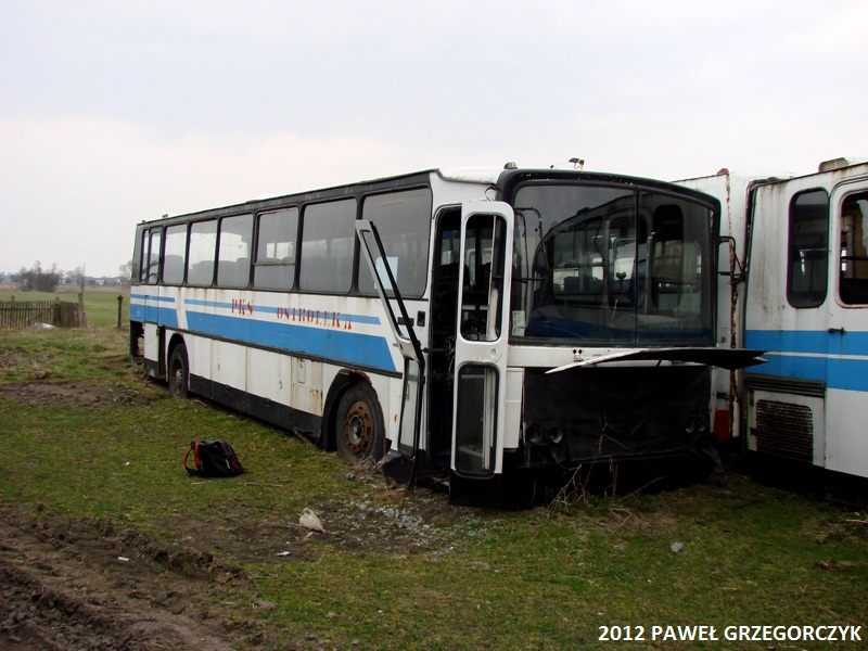 Jelcz T120 #WPL 0190