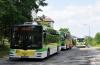 MAN NL263 Lion's City (A21) #211