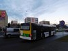 MAN NL283 Lion's City #236