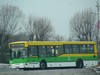 Jelcz M121M #204 Jelcz M121M #204