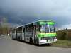 Ikarus 280.26 #504