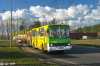 Ikarus 280.26 #504 Ikarus 280.26 #504