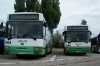 Jelcz 120M #365