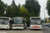 Setra SG219 SL #VEC-SL 113