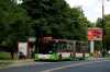 MAN NG313 Lion's City G #Z40119