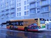 MAN NL283 Lion's City #233 MAN NL283 Lion's City #233