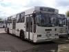 Jelcz 120M #434
