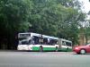 MAN NG272 #1050 MAN NG272 #1050