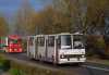 Ikarus 280.26 #351