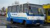 Autosan H6-10.03 Melon #80105