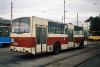 Jelcz M11 #1010
