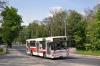 Jelcz M121M #304 Jelcz M121M #304