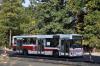 Jelcz M121M #305 Jelcz M121M #305