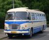 Jelcz 043 #8081