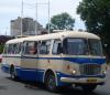 Jelcz 043 #8081